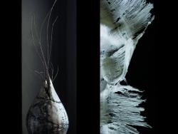 Fred MULATIER et Théo BEAUMONT  "Tressages"